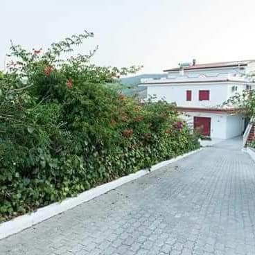 Villa Milena Apartments & Rooms Agropoli Exterior photo